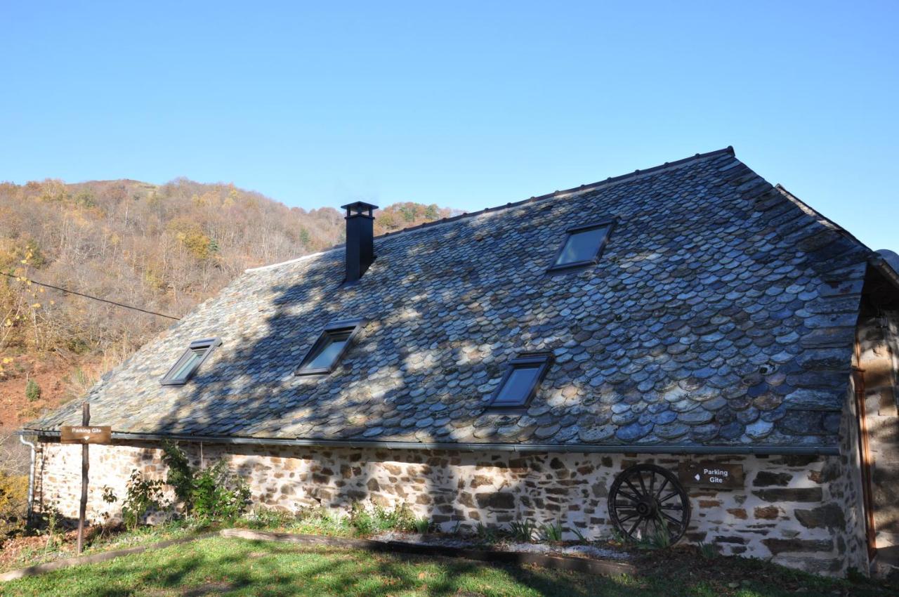 Gite Le Couderc De Coubisou, Grange Renovee Экстерьер фото